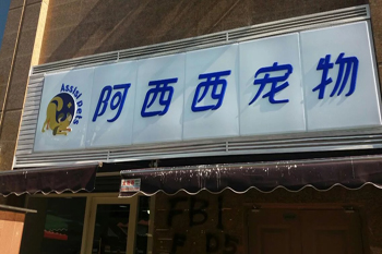 阿西西宠物店